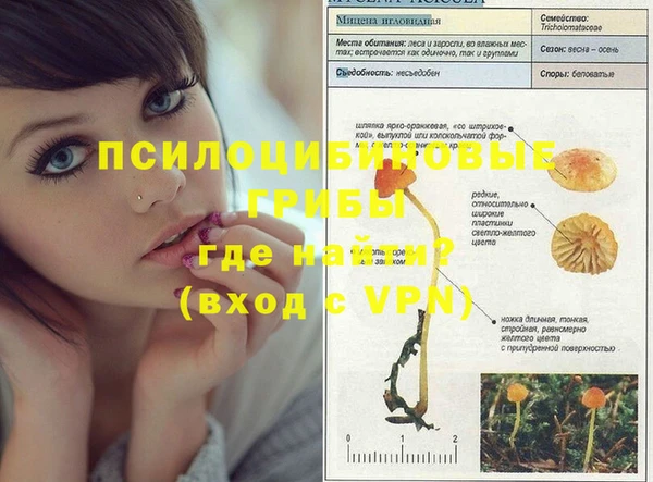 ALPHA PVP Навашино