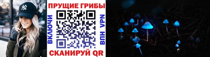 Псилоцибиновые грибы Psilocybine cubensis  Берёзовка 